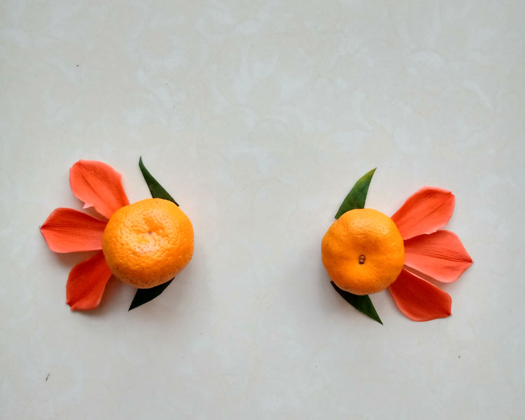 瓜果蔬菜创意拼贴画,用树叶和橘子diy金鱼的手工拼贴制作方法