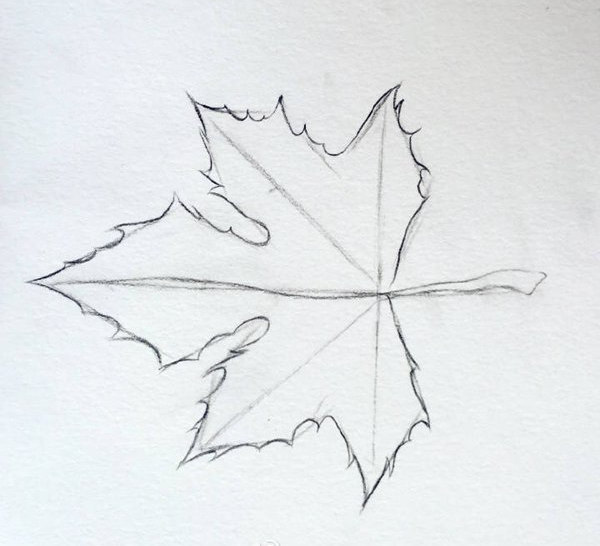 枫叶的手绘方法 彩铅手绘枫叶教程