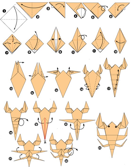 蝎子的折法 昆虫折纸教程图解