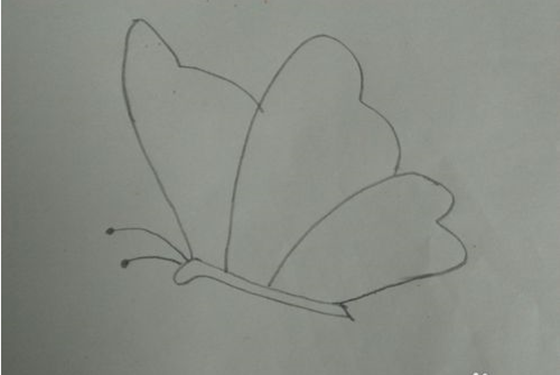 掌握了蝴蝶简笔画怎么画的小窍门 你就会觉得好简单