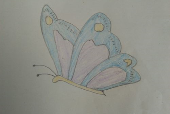 掌握了蝴蝶简笔画怎么画的小窍门 你就会觉得好简单