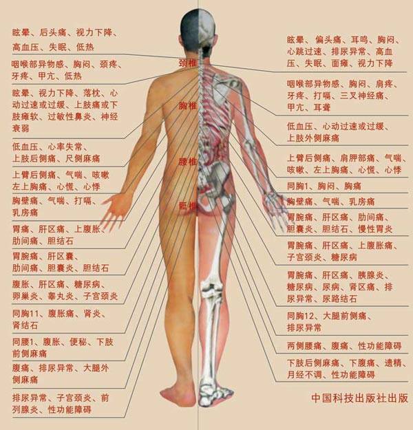 > 正文       人体器官内脏结构分布图及解说:    由多种组织构成的能