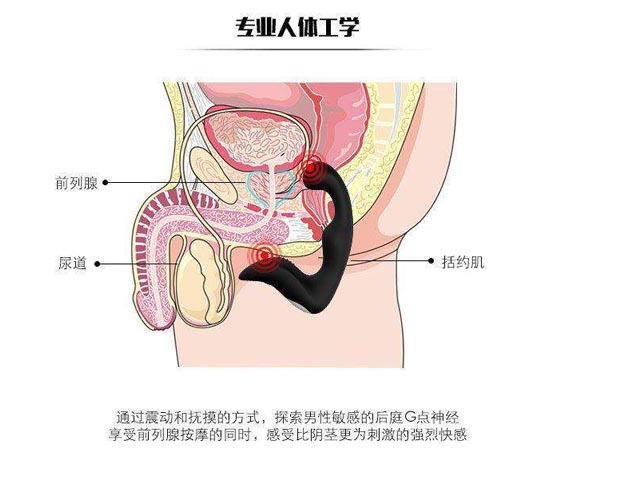 男人前列腺有问题不可忽视 自我检测前列腺