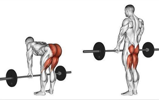 力量训练你要知道深蹲和硬拉的优势,这样你才能晋级为健身大神