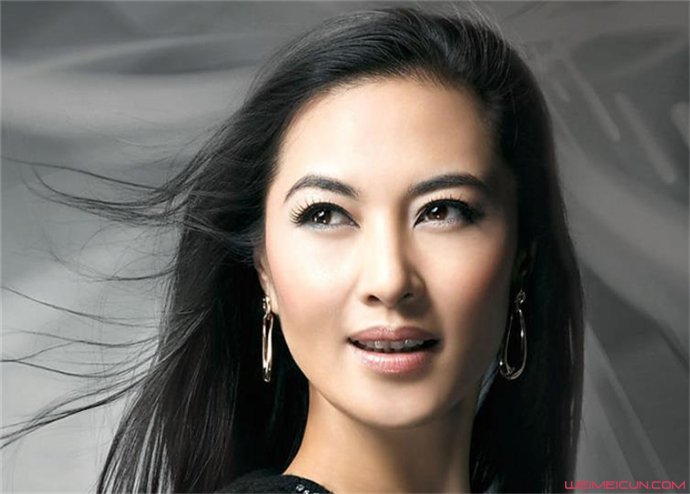 王菁华老公是谁 王菁华资料背景曝光其老公身份疑被揭