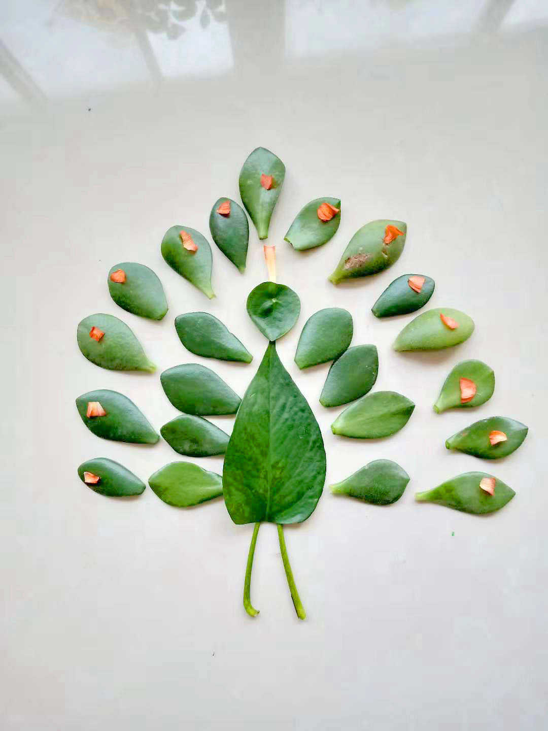 植物叶子拼图手工创意图片