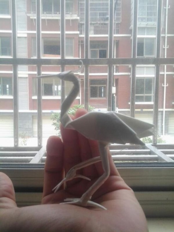 鸟类折纸大全图解-优雅的白鹭