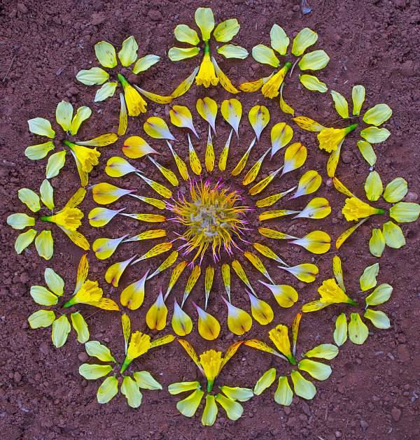 美丽的花朵创意手工拼贴画作品