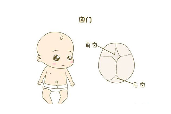如何判断囟门是否闭合 宝宝有这些特征宣告囟门已闭合
