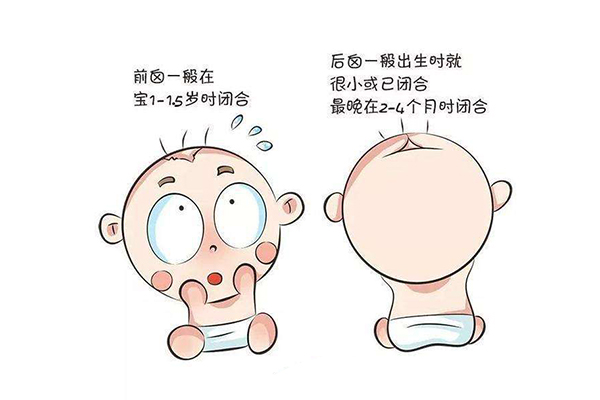 如何判断囟门是否闭合 宝宝有这些特征宣告囟门已闭合