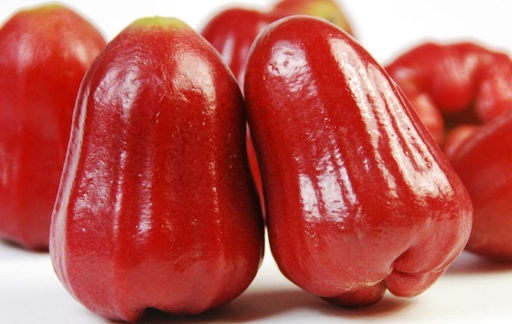 莲雾里面的棉心可以吃吗 不能和什么一起吃