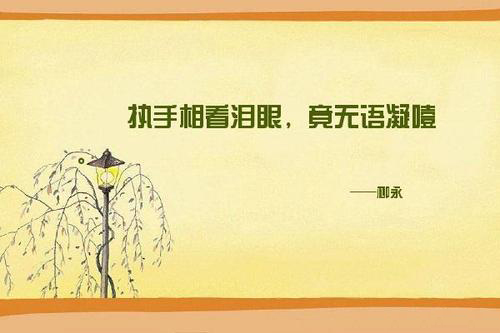 "执手相看泪眼,竟无语凝噎"是什么意思?