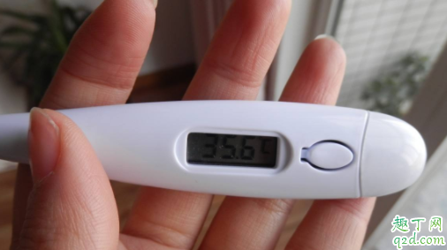 小孩肛门体温测温图片
