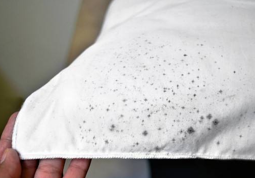 运动内衣为什么会发霉,还能穿吗